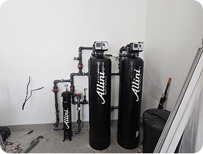 photo_5_2025-01-30_10-03-40